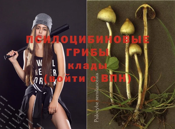 mix Видное