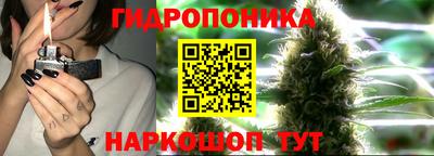 СК Комсомольск-на-Амуре