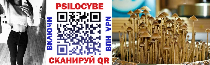 Галлюциногенные грибы Psilocybine cubensis  Хабаровск 
