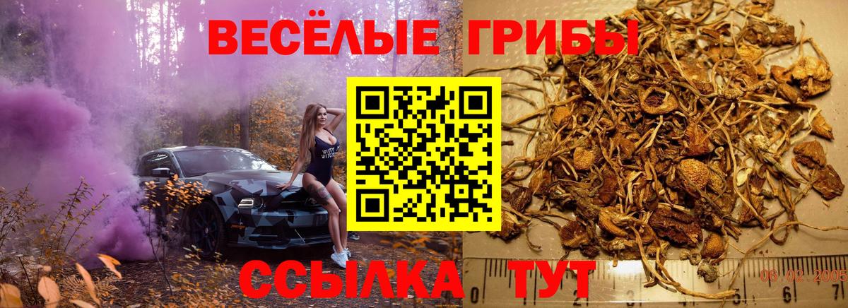 Галлюциногенные грибы Magic Shrooms  Вход с VPN  Хабаровск 